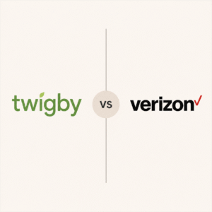 Twigby vs Verizon